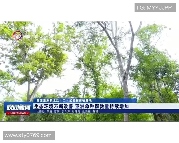 灰熊生态研究：栖息地保护、种群动态与生态环境的相互关系分析